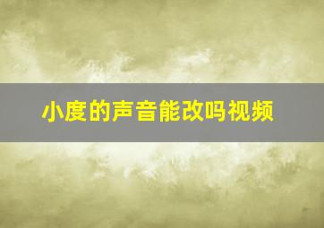 小度的声音能改吗视频