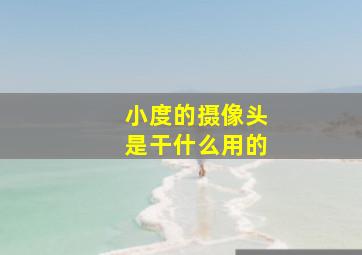 小度的摄像头是干什么用的