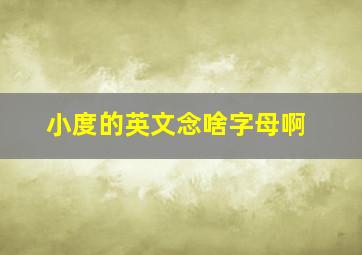 小度的英文念啥字母啊