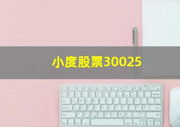 小度股票30025