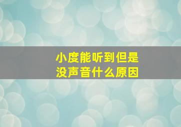 小度能听到但是没声音什么原因