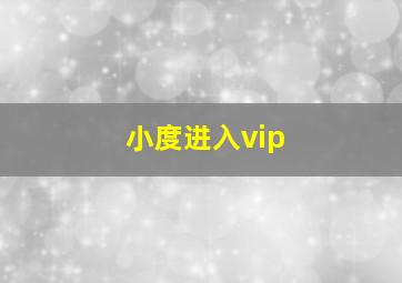 小度进入vip