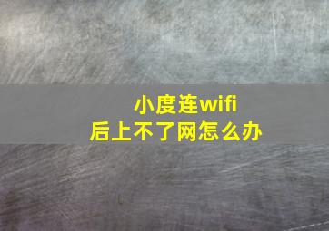 小度连wifi后上不了网怎么办