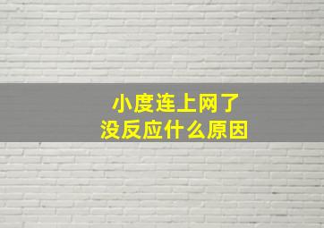 小度连上网了没反应什么原因