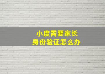 小度需要家长身份验证怎么办