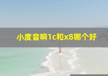 小度音响1c和x8哪个好