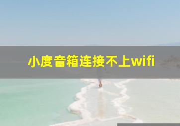 小度音箱连接不上wifi