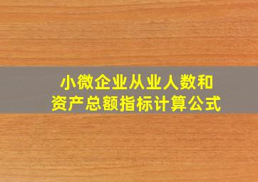 小微企业从业人数和资产总额指标计算公式