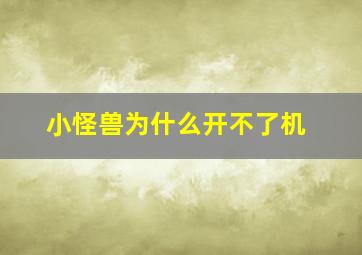 小怪兽为什么开不了机