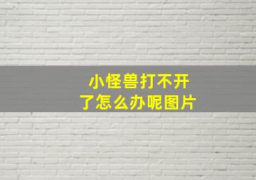 小怪兽打不开了怎么办呢图片