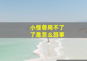 小怪兽用不了了是怎么回事