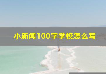 小新闻100字学校怎么写