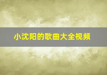 小沈阳的歌曲大全视频