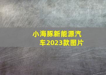 小海豚新能源汽车2023款图片