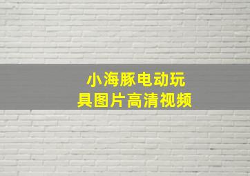 小海豚电动玩具图片高清视频