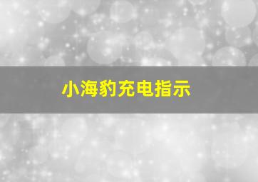 小海豹充电指示