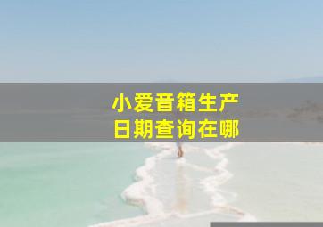 小爱音箱生产日期查询在哪