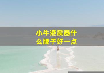 小牛避震器什么牌子好一点