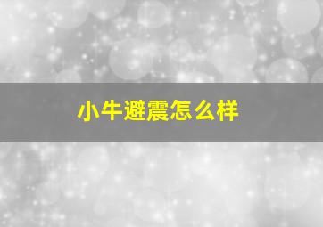 小牛避震怎么样