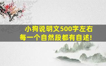 小狗说明文500字左右每一个自然段都有自述!