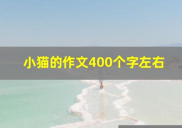 小猫的作文400个字左右