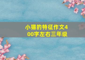 小猫的特征作文400字左右三年级