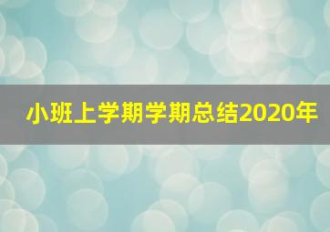 小班上学期学期总结2020年