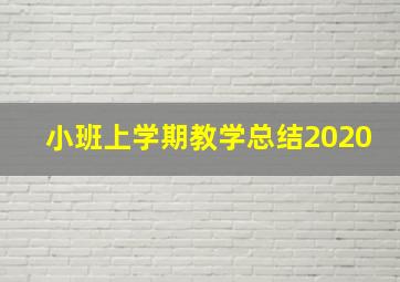 小班上学期教学总结2020