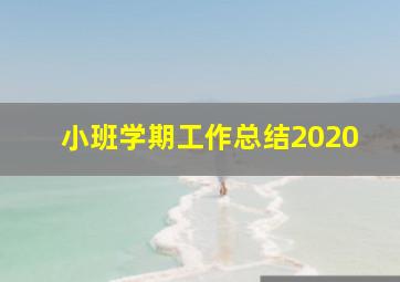 小班学期工作总结2020