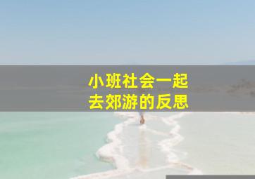 小班社会一起去郊游的反思