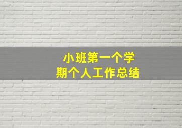 小班第一个学期个人工作总结