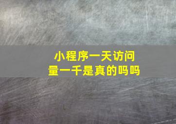 小程序一天访问量一千是真的吗吗