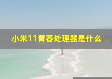 小米11青春处理器是什么