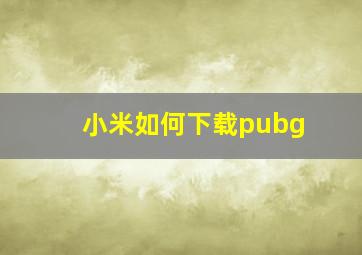 小米如何下载pubg