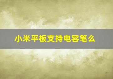 小米平板支持电容笔么