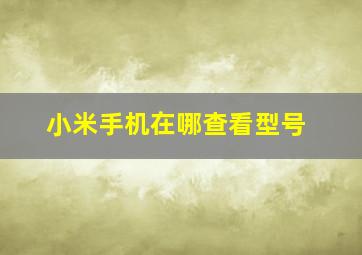 小米手机在哪查看型号