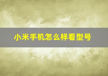 小米手机怎么样看型号