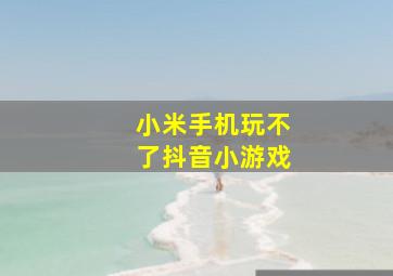 小米手机玩不了抖音小游戏