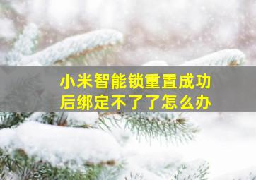 小米智能锁重置成功后绑定不了了怎么办