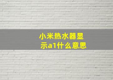 小米热水器显示a1什么意思