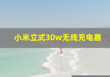 小米立式30w无线充电器