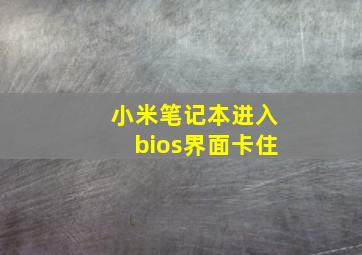 小米笔记本进入bios界面卡住