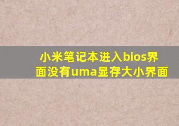 小米笔记本进入bios界面没有uma显存大小界面