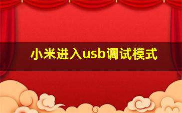 小米进入usb调试模式