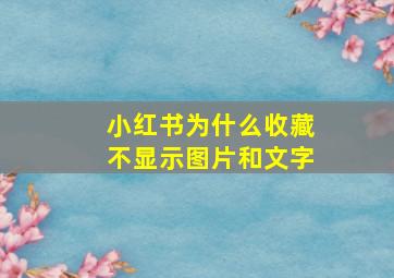 小红书为什么收藏不显示图片和文字