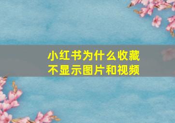 小红书为什么收藏不显示图片和视频