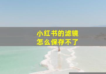 小红书的滤镜怎么保存不了