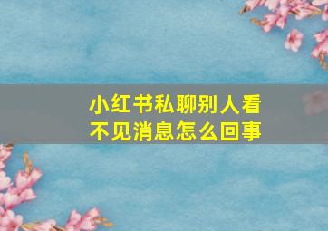 小红书私聊别人看不见消息怎么回事