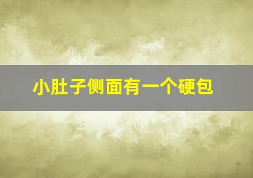 小肚子侧面有一个硬包