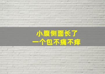 小腹侧面长了一个包不痛不痒